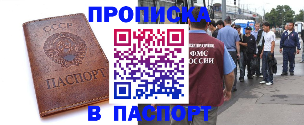 временная регистрация поиск в Новодвинске
